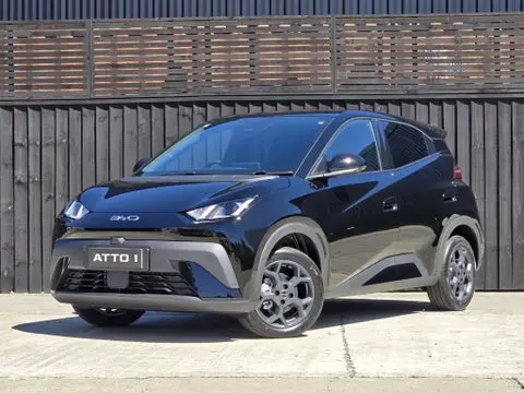 BYD ATTO 1 thumbnail 2