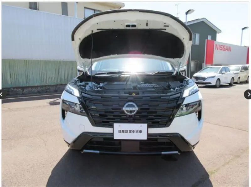 NISSAN X-TRAIL thumbnail 2