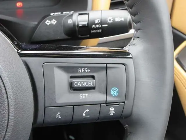 NISSAN X-TRAIL HYBRID thumbnail 22