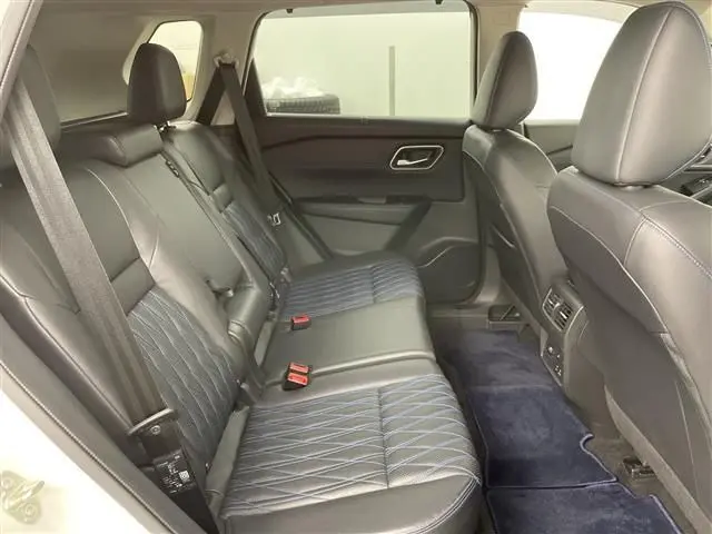 NISSAN X-TRAIL HYBRID thumbnail 12