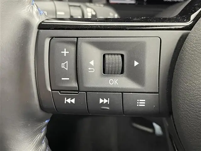NISSAN X-TRAIL HYBRID thumbnail 13