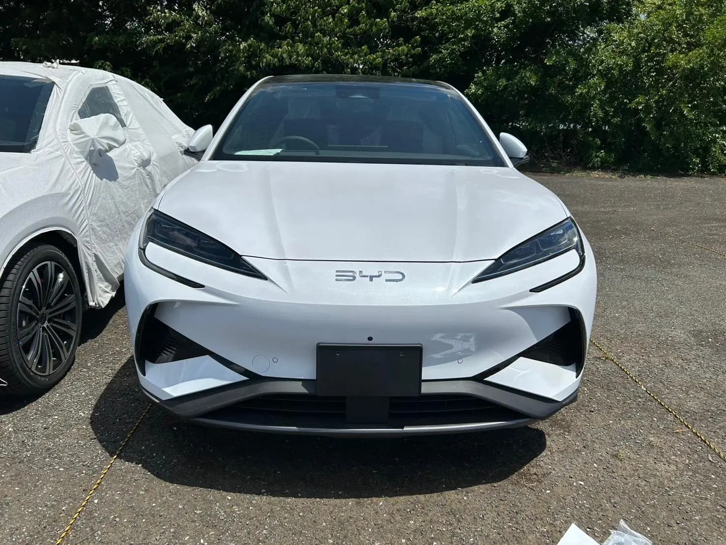 BYD SEALION 7 view 1