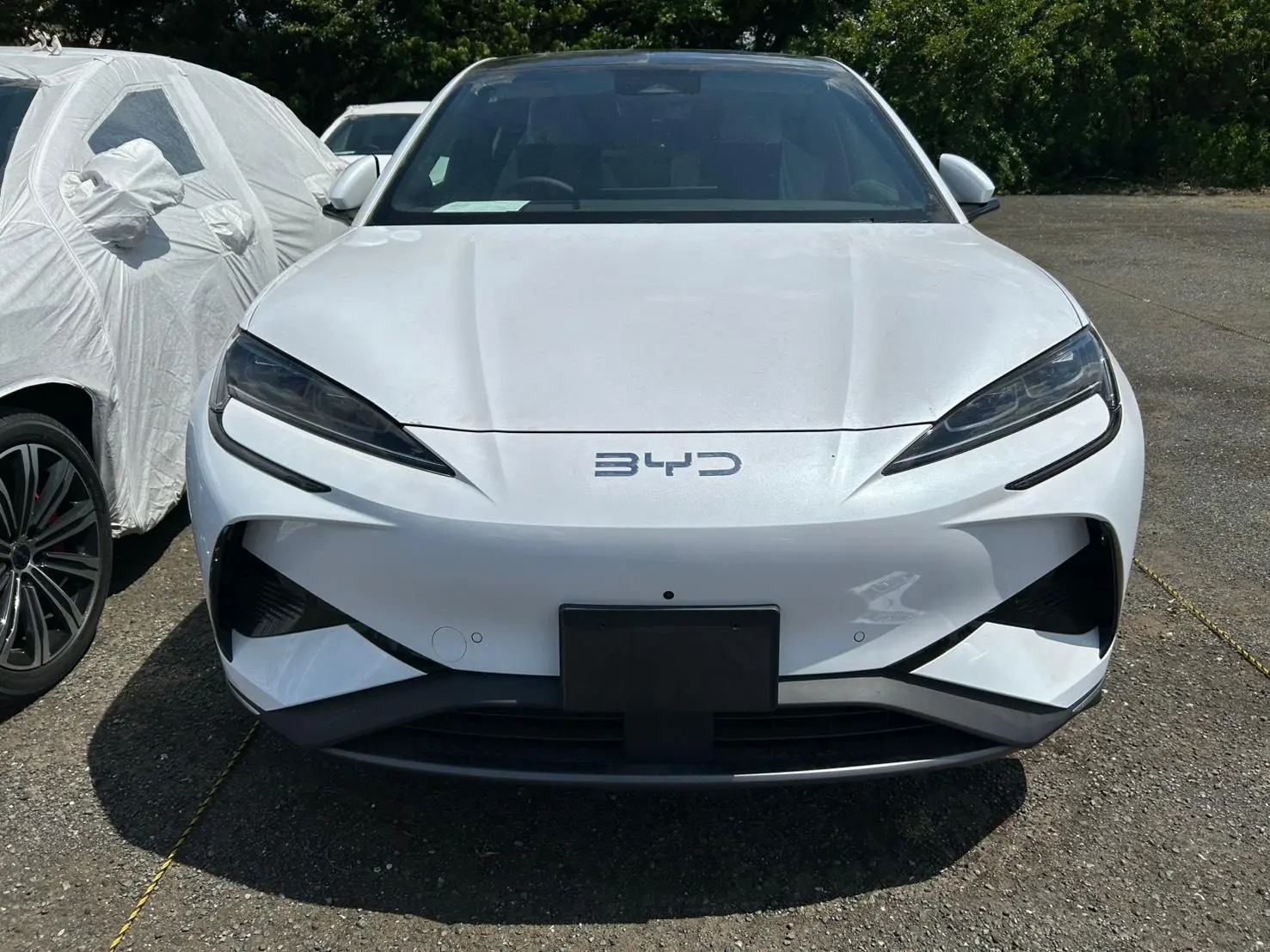 BYD SEALION 7 view 1