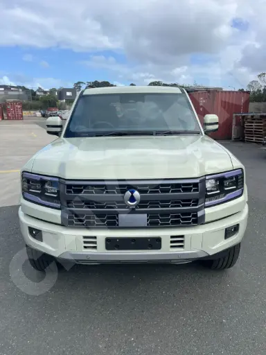 BYD DENZA B5