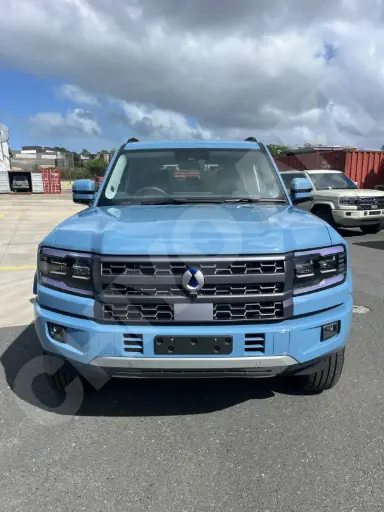 BYD DENZA B5