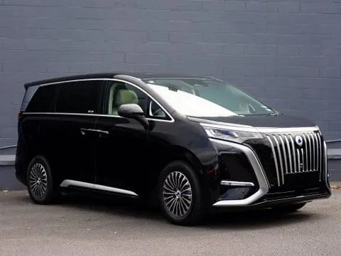 BYD DENZA D9